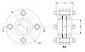 NW-FT Schematic